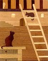 2gatto-scala.jpg (5289 byte)